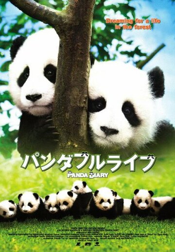 Дневник панды (2008)